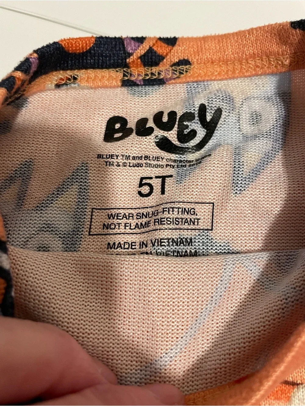 Bluey brand toddler